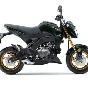 Kup 2025 Kawasaki Z125 PRO Online – Agresywny Streetfighter