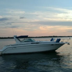 Kup wyjątkowy jacht 1990 Sea Ray 350 Sundancer. Posiada dwa silniki Mercruiser 454 cid, klimatyzację oraz GPS. Eksploatowany wyłącznie na wodach słodkich, jest w doskonałym stanie gotowym do rejsów.